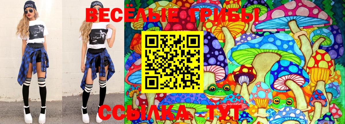 Псилоцибиновые грибы ЛСД Егорьевск